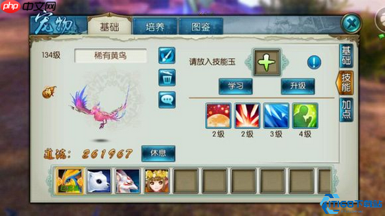 青云全方位养成指南：从宠物搭配到元婴培养的终极攻略