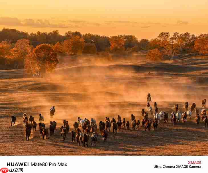 华为Mate80系列样张出来了，这不妥妥的吊打苹果iPhone？