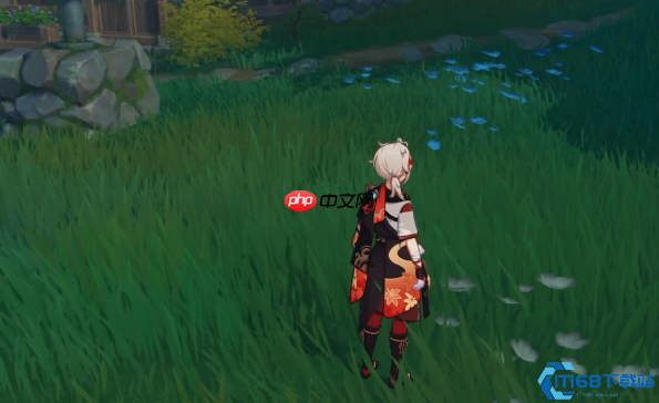 原神孤岛诊疗谭任务全攻略：轻松获取隐藏宝箱与成就奖励