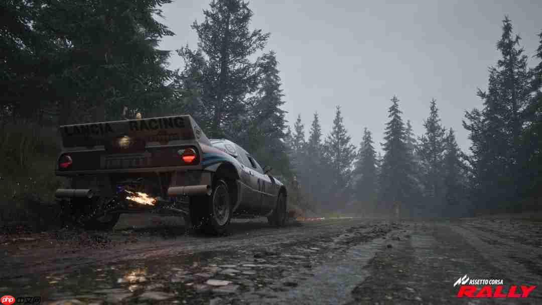 《神力科莎:拉力》Steam抢先体验开启 专业级拉力赛体验