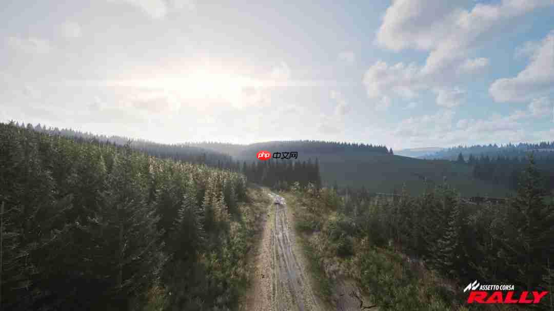 《神力科莎:拉力》Steam抢先体验开启 专业级拉力赛体验