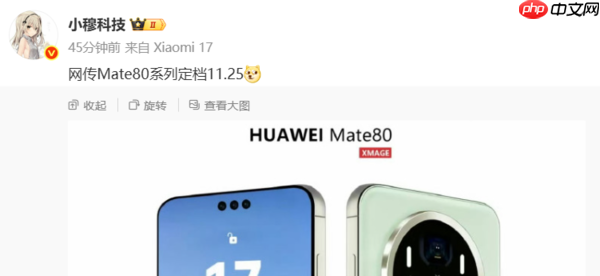 11月25日发布?华为Mate 80外观图曝光:大圆模组设计