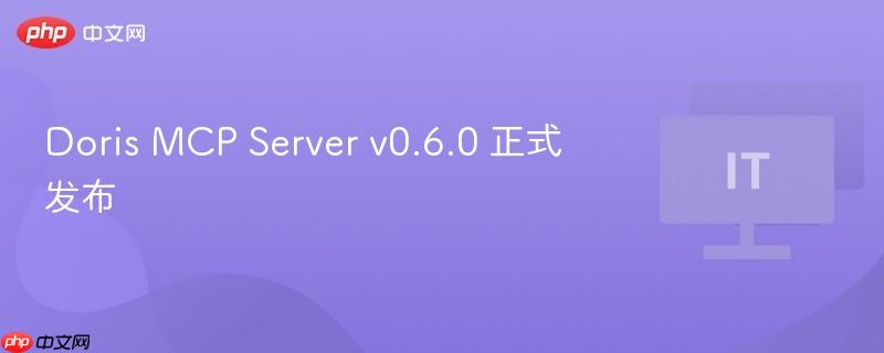 Doris MCP Server v0.6.0 正式亮相，全新特性助力企业级应用升级