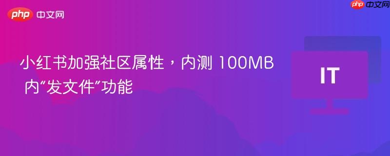 小红书加强社区属性，内测 100mb 内“发文件”功能
