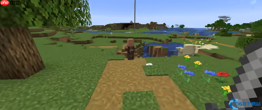 驯服村民有妙招:打造高效运转的村庄秘籍