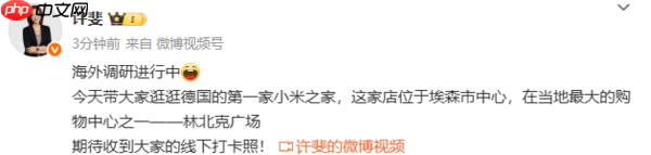 小米许斐海外调研：17 Pro系列新机在德国大受欢迎