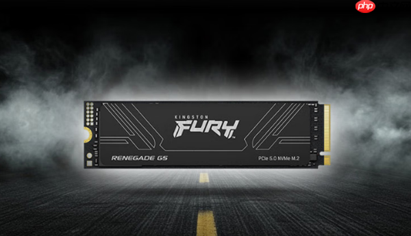 金士顿FURY Renegade G5大容量SSD上市：8TB版本首发6399元