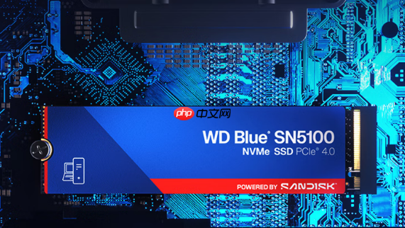 2199元 闪迪WD Blue SN5100 PCIe 4.0 SSD新增4TB版:原厂NAND