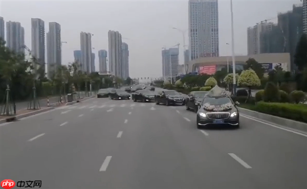 十多辆婚车公路上组队“蛇形”占道 交警：已传唤全部驾驶员