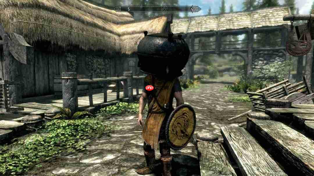 开发人员都未曾设想！ 《上古卷轴5》套桶偷窃技巧实为bug