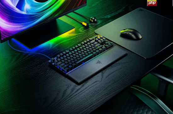 1999 元雷蛇猎魂光蛛 V3 专业版 8KHz 系列键盘发布：第二代 Razer 模拟光轴，人造皮革腕托 + 双色注塑 PBT 键帽