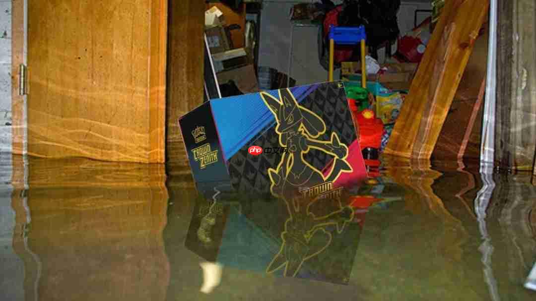 万元宝可梦卡牌遭水淹，保险理赔竟按纸板称重处理