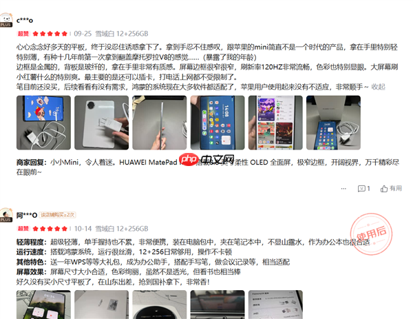 年度爆款小平板！华为MatePad Mini 典藏版正式开售：给高端用户一个新选择