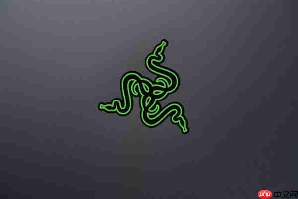 RTX 5090性能怪兽！雷蛇灵刃18 2025游戏本图赏