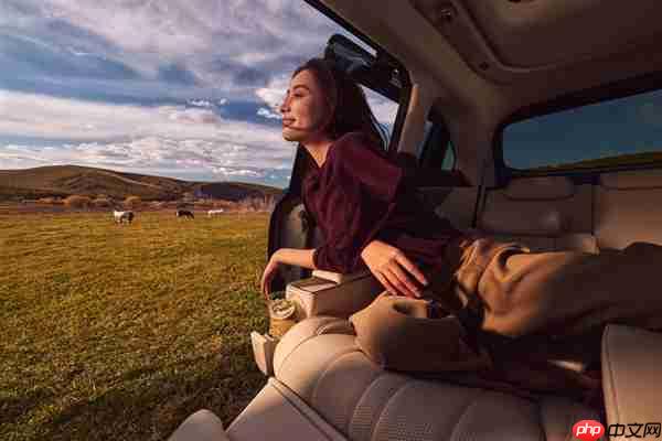 配60升大油箱 小鹏X9增程版内饰公开：全车用4.2米进口真木