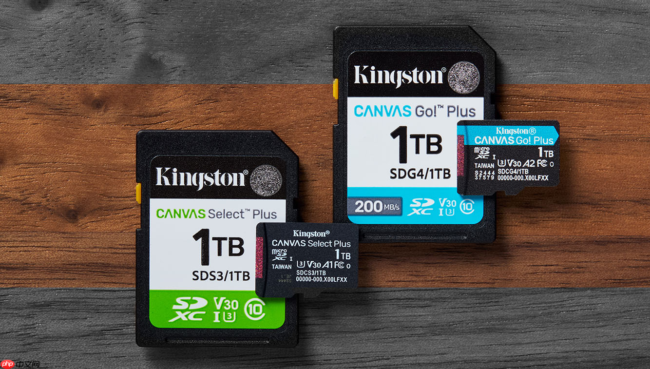 扩容刚需 金士顿新款canvasplus存储卡