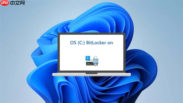 Windows BitLocker自动加密导致3TB数据永久丢失的悲剧