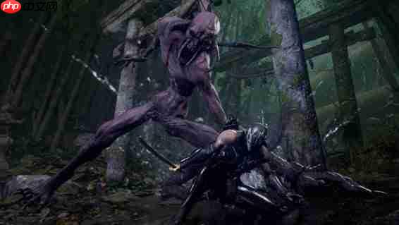 龙哥被垫了？粉丝不满《忍者龙剑传4》中隼龙戏份过少！