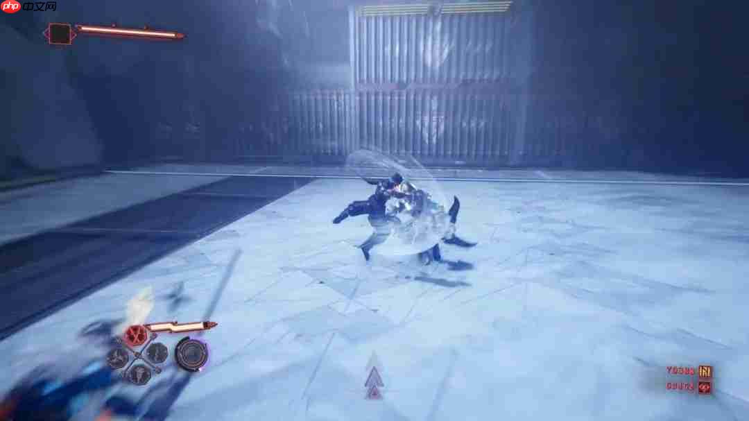 龙哥被垫了？粉丝不满《忍者龙剑传4》中隼龙戏份过少！