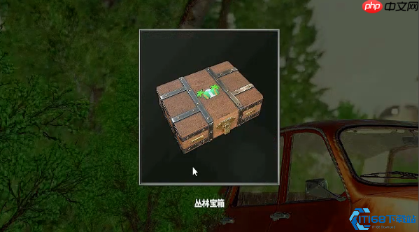 丛林宝藏猎人必备指南：解锁稀有皮肤与服饰的黄金法则