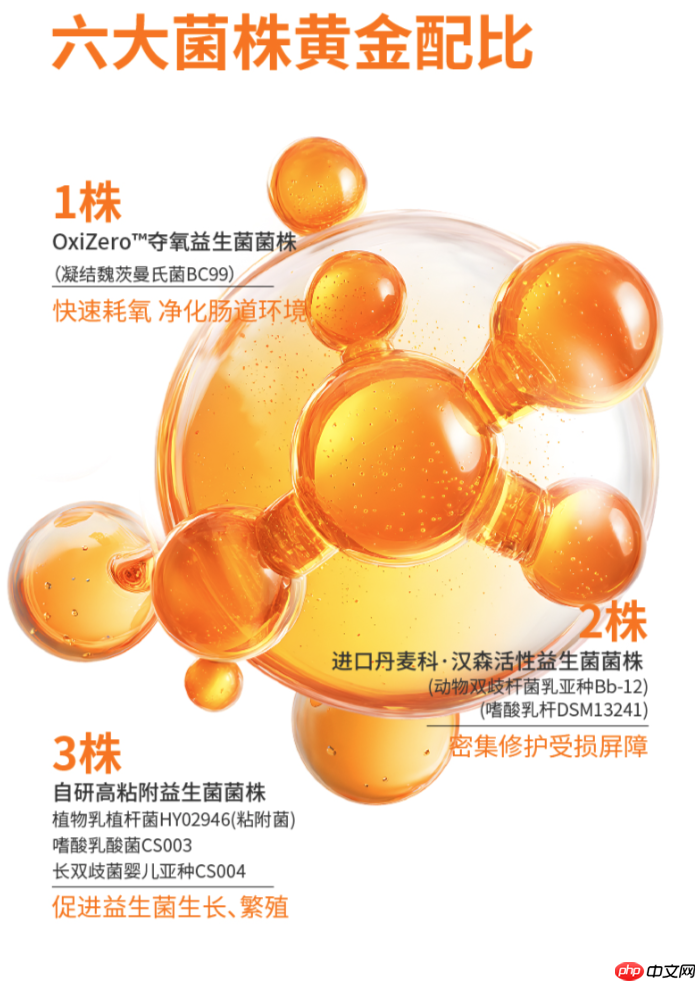 治愈了精神内耗，却迎来了“肚子内耗”？这份旅行后遗症调理指南请收好