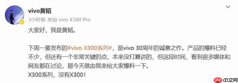 vivo产品副总裁称X300系列为“影像旗舰大小王”：没有标准版