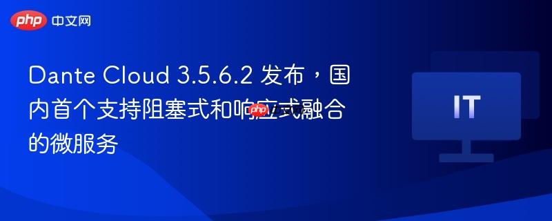 Dante Cloud 3.5.6.2，国内首个支持阻塞式和响应式融合微服务的发布