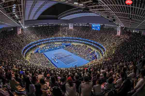 中网赛事AI活力迸发  ThinkPad见证冠军时刻