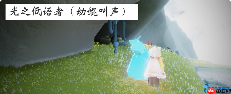 聆听风中的歌谣：飞翔季鸟鸣先祖全收集指南