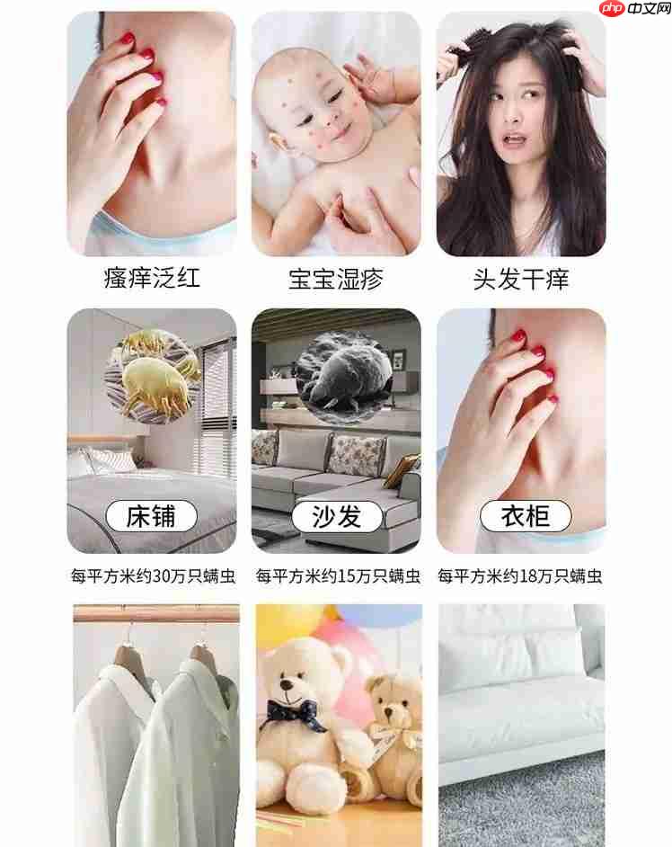 过敏性鼻炎总反复？选对除螨方法+ 工具，鼻子终于不遭罪