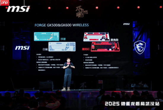 微星2025龙盾局武汉站盛大举办，超频盛宴共绘硬件江湖