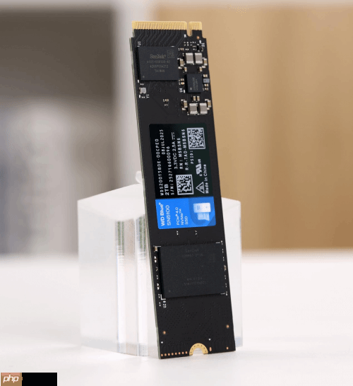 专为内容创作、AI应用打造的存储设备来了！闪迪媒体分享会展示新款SN5100 SSD