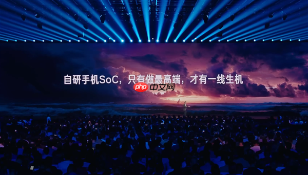 雷军谈自研手机SoC战略，高端市场是生存一线生机之道