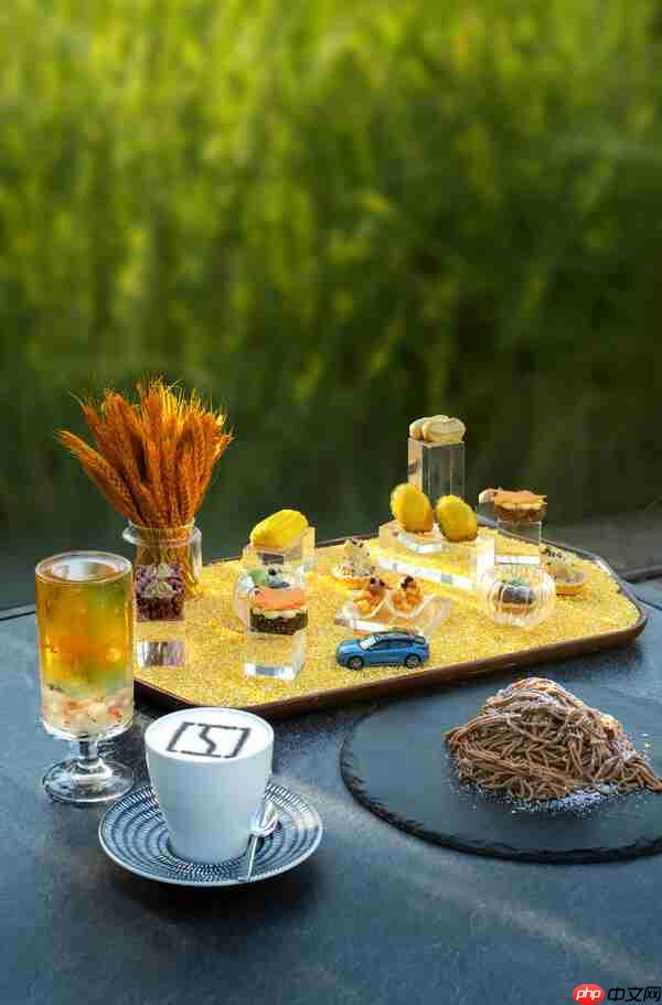 安岚与极氪跨界联名 共赴一场「向野而行」的奢华浪漫