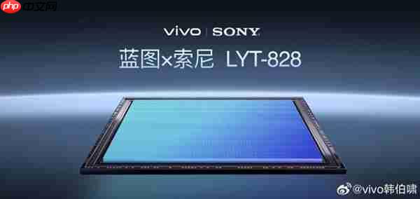 2025“拍照最强”的手机:vivo X300 Pro 2亿像素成旅拍神器