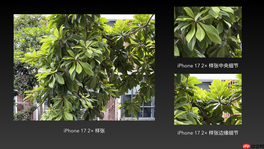 iPhone 17全网最强评测：性能与散热均惊艳，这点不如Pro