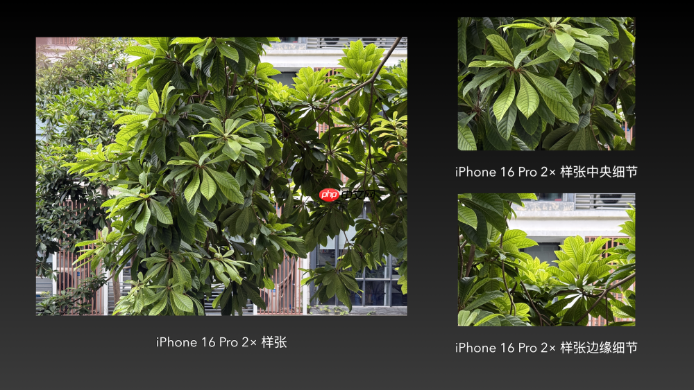 iPhone 17全网最强评测：性能与散热均惊艳，这点不如Pro