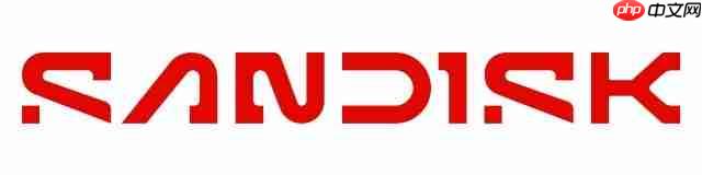 闪迪:预计整个 2026 年 NAND 闪存市场均将面临供应不足