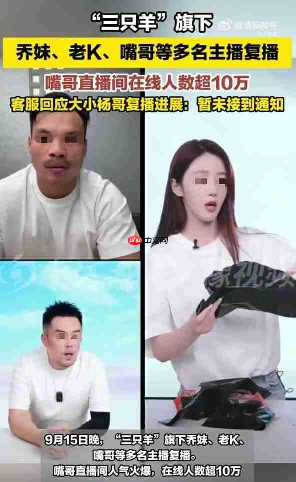 嘴哥复播10万人围观!三只羊低调回归,今年还卖月饼吗?