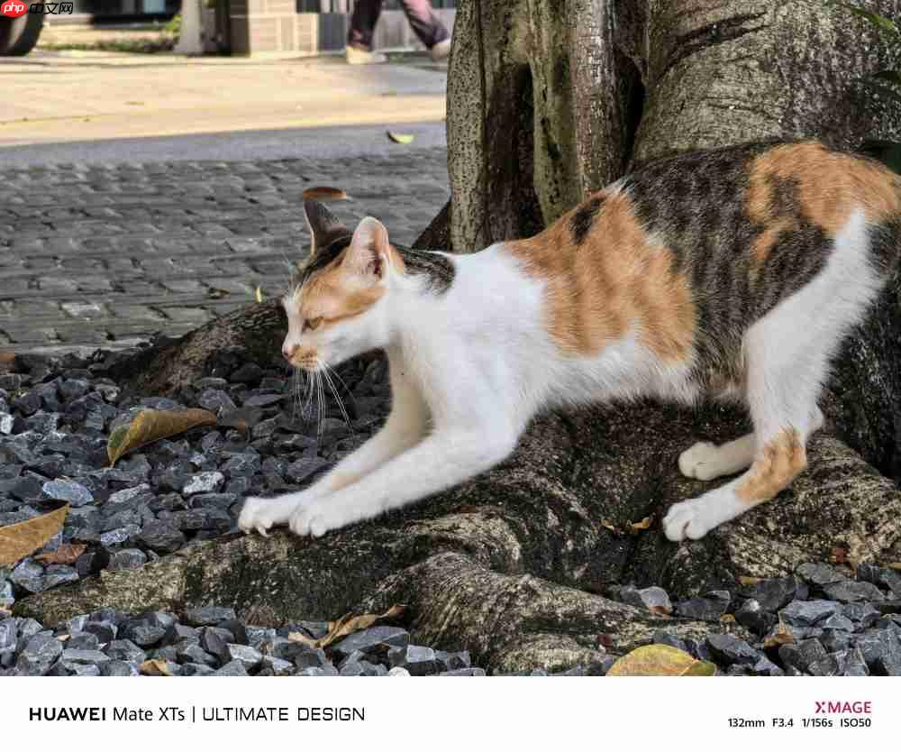 华为Mate XTs体验:降价2000元反而更强了,三折叠实用的开端?