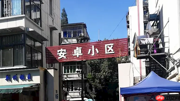 网红发明的“苹果人”“安卓人”概念火了：“安卓”竟然成脏话了