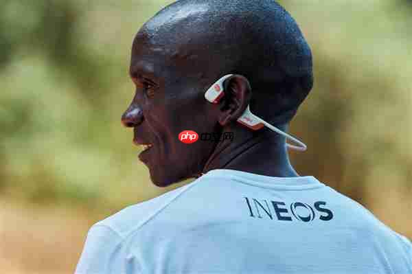 Shokz 韶音牵手 2025 悉尼马拉松  开启大满贯赛事声动新旅程