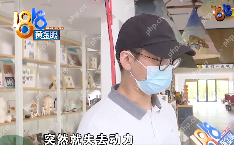 一家六口坐小火车脱轨飞出：该火车没有刹车系统 - php中文网