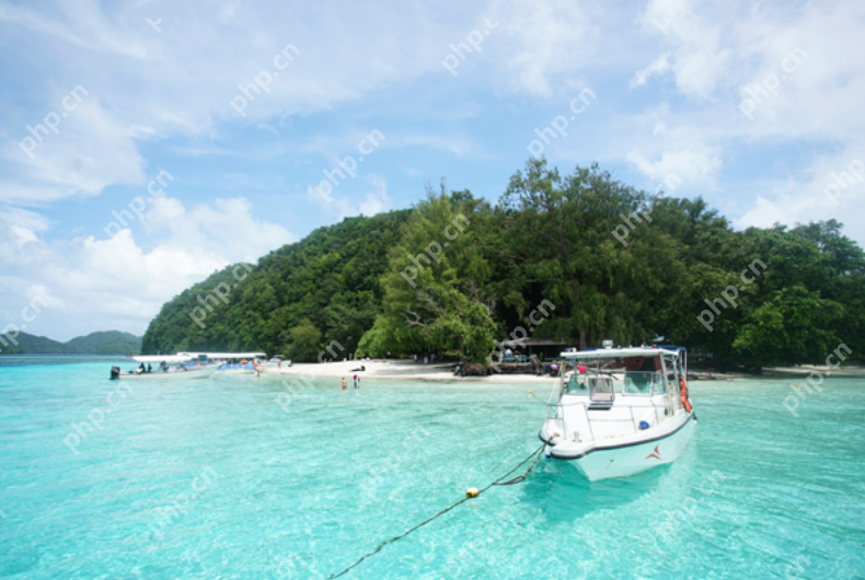 旅游才是断舍离的最佳时期是怎么回事？详细介绍 - php中文网