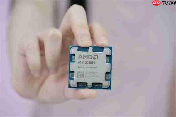 新一代的千元神U！AMD锐龙5 9500F处理器图赏