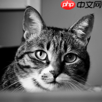 一粒墨滴的逆袭:爱普生黑科技如何让打印“快准省”