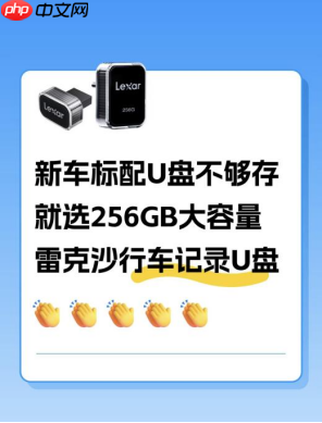 特斯拉ModelY L 出行搭档!雷克沙行车记录U盘守护每段旅程