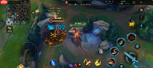 龙血武姬希瓦娜开局制胜秘诀：一级W点燃野区之路