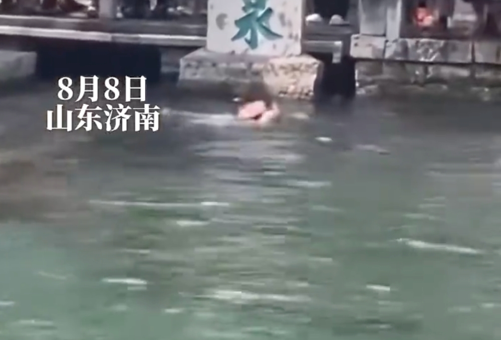 游客掉入趵突泉 网友：大家都是来看的，为什么你能又游又喝 - php中文网