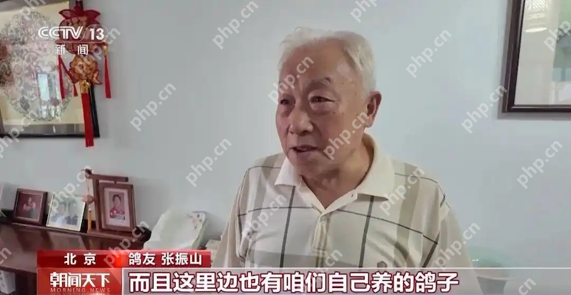 8万羽和平鸽全部来自北京民间鸽友！阅兵式万鸽齐飞的震撼场面，他们如何做到？ - php中文网